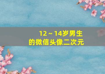 12～14岁男生的微信头像二次元