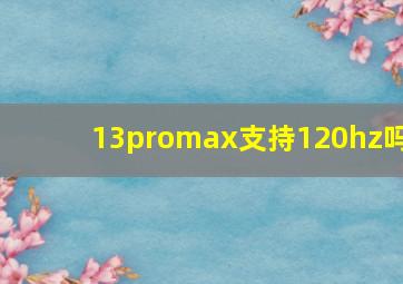 13promax支持120hz吗