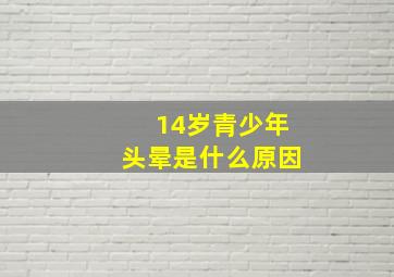 14岁青少年头晕是什么原因