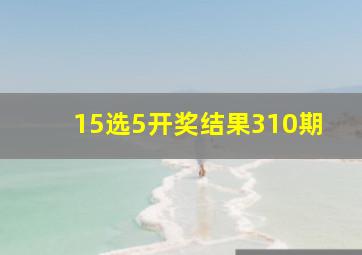 15选5开奖结果310期