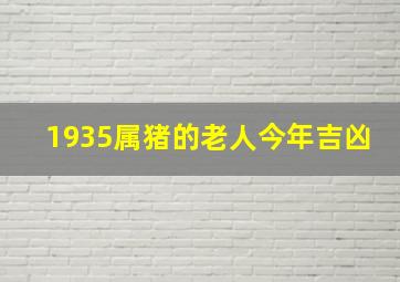 1935属猪的老人今年吉凶