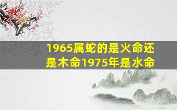 1965属蛇的是火命还是木命1975年是水命