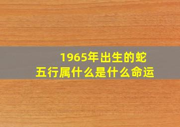 1965年出生的蛇五行属什么是什么命运