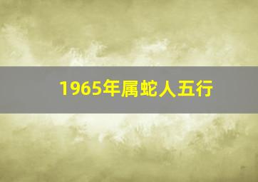 1965年属蛇人五行