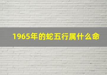 1965年的蛇五行属什么命