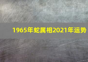 1965年蛇属相2021年运势