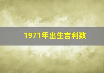 1971年出生吉利数