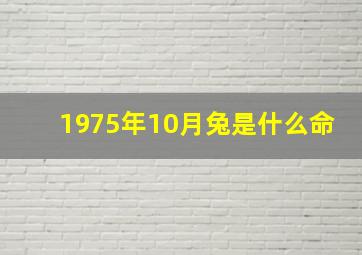 1975年10月兔是什么命