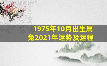 1975年10月出生属兔2021年运势及运程