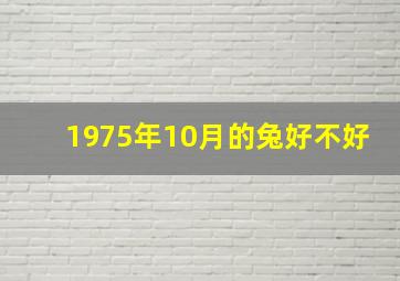 1975年10月的兔好不好