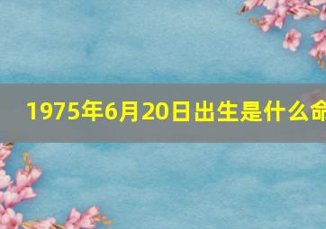 1975年6月20日出生是什么命