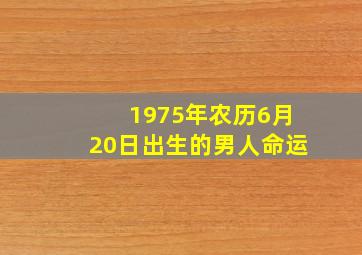 1975年农历6月20日出生的男人命运