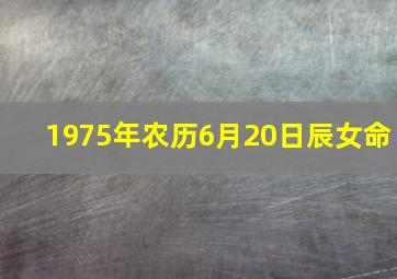 1975年农历6月20日辰女命