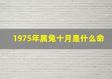 1975年属兔十月是什么命