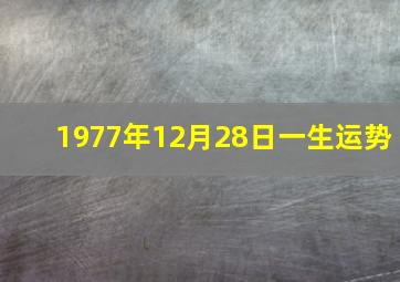 1977年12月28日一生运势