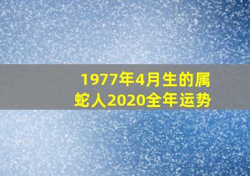 1977年4月生的属蛇人2020全年运势