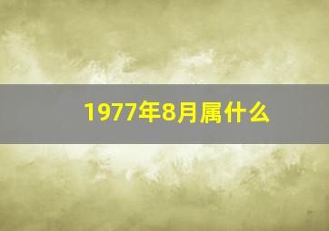 1977年8月属什么