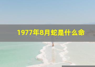 1977年8月蛇是什么命