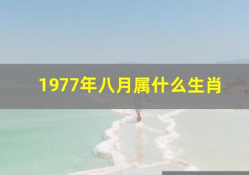 1977年八月属什么生肖