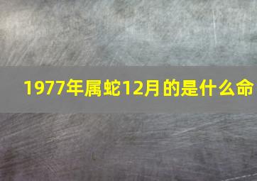 1977年属蛇12月的是什么命