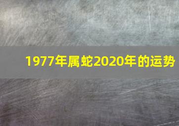 1977年属蛇2020年的运势