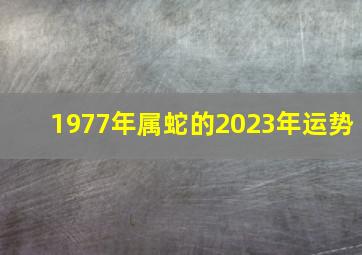 1977年属蛇的2023年运势