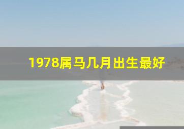 1978属马几月出生最好