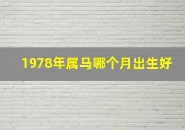 1978年属马哪个月出生好