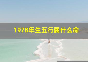 1978年生五行属什么命