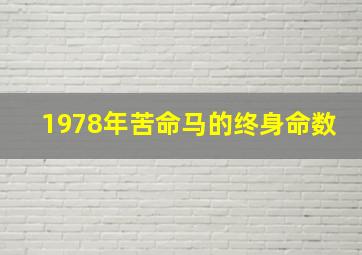 1978年苦命马的终身命数