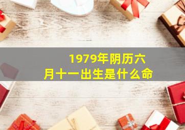 1979年阴历六月十一出生是什么命