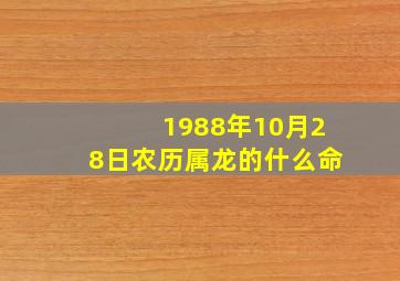 1988年10月28日农历属龙的什么命