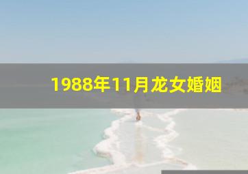 1988年11月龙女婚姻