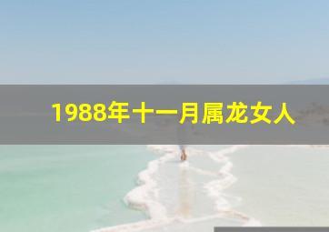 1988年十一月属龙女人