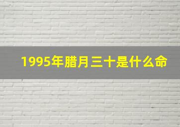 1995年腊月三十是什么命