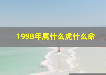 1998年属什么虎什么命