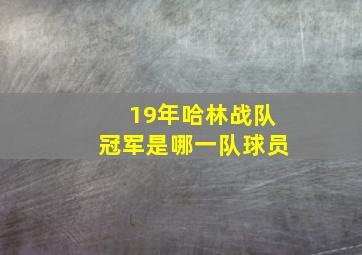 19年哈林战队冠军是哪一队球员