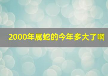 2000年属蛇的今年多大了啊