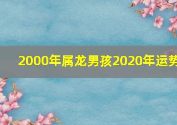 2000年属龙男孩2020年运势