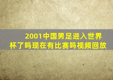 2001中国男足进入世界杯了吗现在有比赛吗视频回放