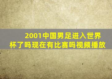 2001中国男足进入世界杯了吗现在有比赛吗视频播放