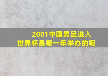 2001中国男足进入世界杯是哪一年举办的呢