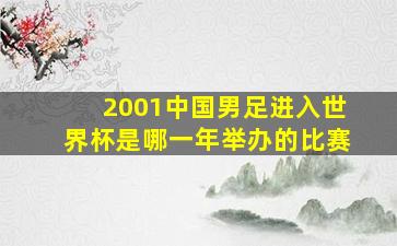 2001中国男足进入世界杯是哪一年举办的比赛