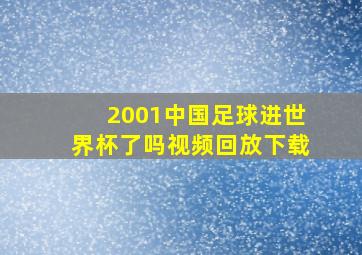 2001中国足球进世界杯了吗视频回放下载