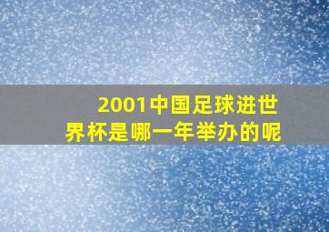 2001中国足球进世界杯是哪一年举办的呢