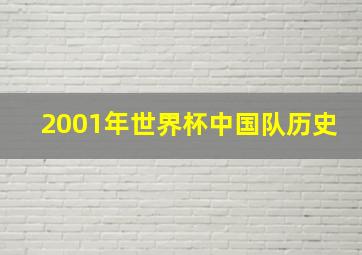 2001年世界杯中国队历史