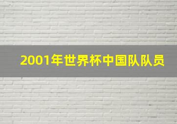 2001年世界杯中国队队员