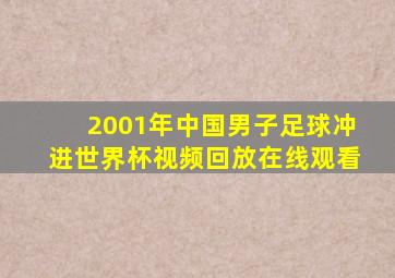 2001年中国男子足球冲进世界杯视频回放在线观看