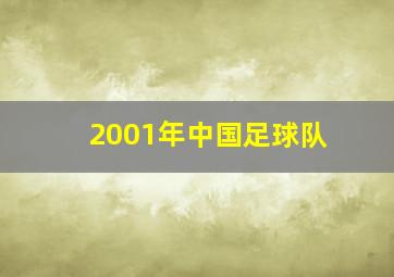 2001年中国足球队