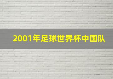 2001年足球世界杯中国队